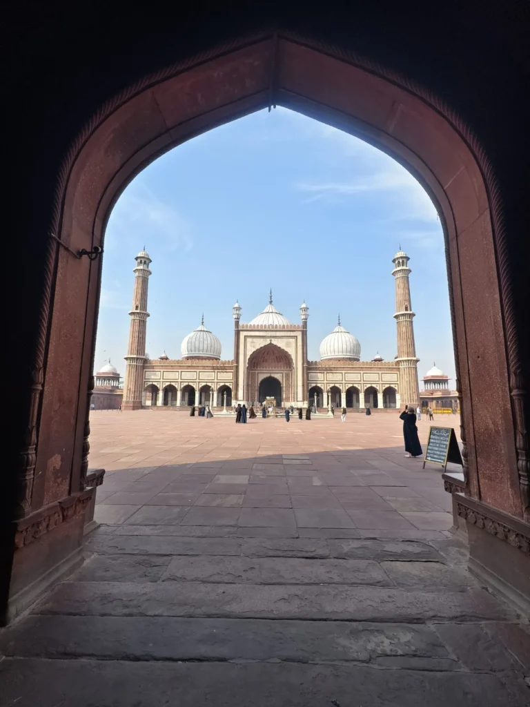 Jama Masjid mosque, Old Delhi
