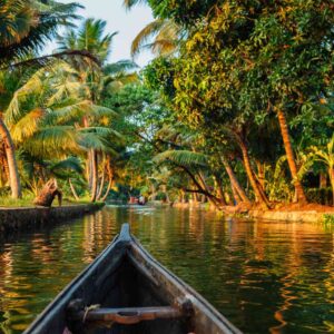 The Kerala backwaters